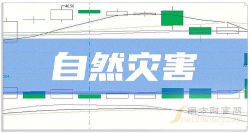 2025年物联网技术服务在自然灾害行业上市公司的关键角色与应用展望